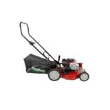 Cortador De Grama Robusta Gasolina 3,8hp 2t Com Recolhedor Gr-3800c Garthen