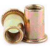 Fio Métrico De Aço De Zinco Insira Conjunto De Porca De Rebite (m6 × 100pcs)