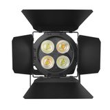 Led Cob 300 C/ Bandoor Bry 1914 Outdoor