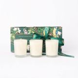 Kit Velas Aromáticas E Hidratantes 70g - Coleção Aromas De Sucesso Reserva Brasil