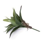 Folha Artificial Agave Com Raiz X13 Para Arranjos Verde 25 Cm F04 - D&#39;rossi