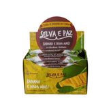 Barra Frutas Banana Da Terra Orgânica 30g Selva E Paz 12