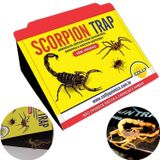 Armadilha Adesiva Scorpion Trap Escorpiões, Aranhas E