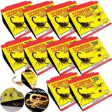 Kit 10 Armadilha Adesiva Scorpion Trap Escorpiões, Aranhas E