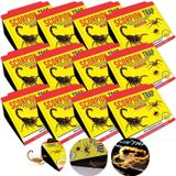 Kit 12 Armadilha Adesiva Scorpion Trap Escorpiões, Aranhas E