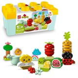 Lego Duplo Jardim Orgânico - Brinquedo Educativo 10984