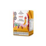 Bebida Mini Maça E Banana A Tal Da Castanha 200ml