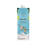 Leite Vegano De Castanha E Coco - Sem Lactose E Glúten