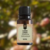 Essência P Aromatizador Umidificador Difusor Elétrico 10ml