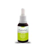 Floral De Bach White Chestnut Paz Interior 30ml