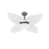 Ventilador De Teto Bronze 4 Pás Econômico Winds Ventax 220v