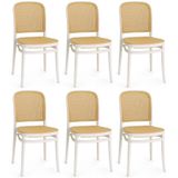 Kit 6 Cadeiras De Jantar Roma Para Sala E Cozinha - Branco
