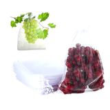 20 Saquinhos Organza 20x30 Ideal Para Proteger Frutas No Pé