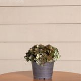 3 Buquês De Hortênsia Artificial Flores Realistas Para Decoração De Ambientes Com Elegância