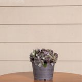 3 Buquês De Hortênsia Artificial Flores Realistas Para Decoração De Ambientes Com Elegância