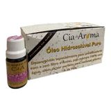 Box Kit 10 Óleos Hidrossolúvel 10ml - Escolha O Seu Aroma