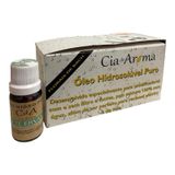 Box Kit 10 Óleos Hidrossolúvel 10ml - Escolha O Seu Aroma