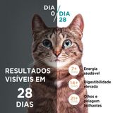 Ração Seca para Gatos Filhote Purina One Frango e Carne 500g