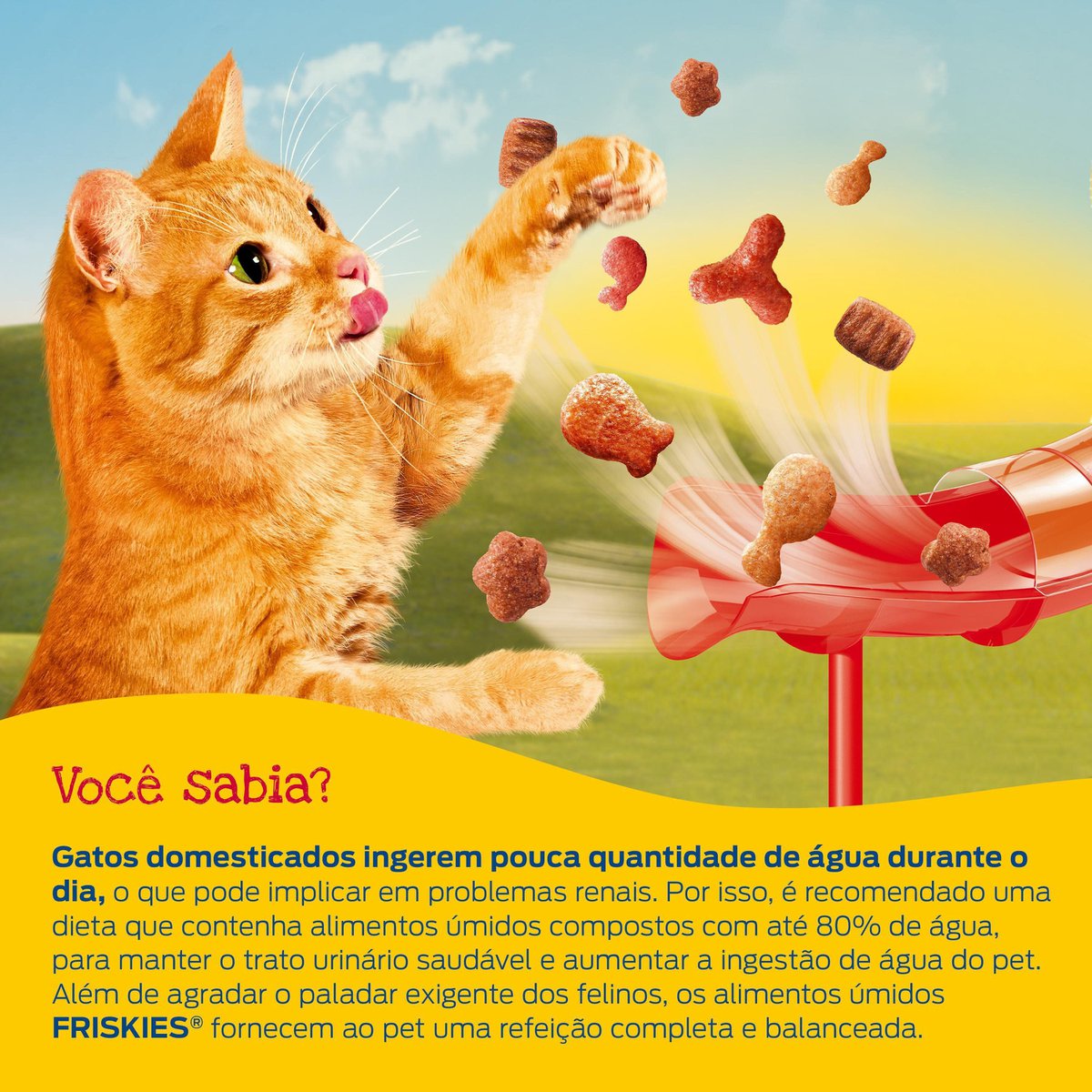 racao-umida-para-gato-purina-friskies-atum-com-molho-sache-85g-5.jpg