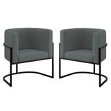 Kit 02 Cadeiras Poltrona Sala Quarto Base De Metal Black Cinza