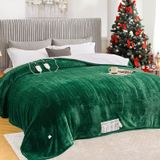 Cobertor Aquecido Elétrico King Size Greenoak 230x225cm Verde Menta