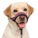 Coleira De Cabeça De Cachorro Barkless, Acolchoada E Macia, Sem Puxar, Para Cães De Médio E Grande Porte