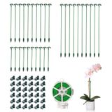 Pacote Plant Stakes Ruksifg De 30 Para Plantas De Interior Com Clipes