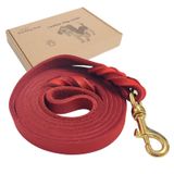 Dog Leash Guiding Star Leather De 6 Pés Para Cães Grandes, Vermelho