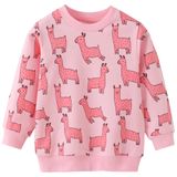 Moletom Fino Masculino Aiwuhe De Gola Redonda, Esportivo, Manga Comprida, Pulôver De Algodão, Camiseta Infantil, Rosa Alpaca 6y 9093