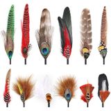 Penas Para Chapéu Feel Funfeather Feather 12 Peças De Cores Variadas