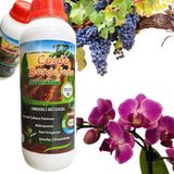 Calda Bordaleza Para Orquídeas E Plantas Controle Pragas 1l