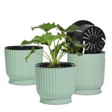 Vasos Autoirrigáveis T4u Para Plantas De Interior, 7 Polegadas, Pacote Com 4, Verdes