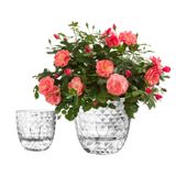 Vasos Autoirrigáveis Etvski Para Plantas De Interior, 4+6 Polegadas, Transparentes, 2 Unidades