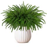 Natal Artificial Norfolk Pine Branch Fovths X6 45cm