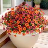 Flores Artificiais Ammyoo Daisy Faux Silk 12 Pacotes Ao Ar Livre