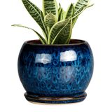 Vaso De Plantas Sqowl Ceramic De 6 Polegadas Com Orifício De Drenagem E Pires Azul