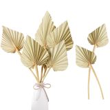 Folhas De Palmeira Secas Sggvecsy Boho 10 Peças 36 Cm Naturais