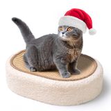 Cat Scratcher Bed Comsaf Cat Scratching Board Sisal Oval