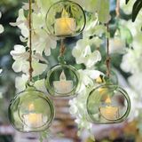 Conjunto De Esferas De Vidro Letine Green, 12 Unidades Com Terrário De Plantas Aéreas