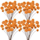 Flores Secas De Craspedia Billy Balls Phliofd 72 Unidades De 45 Cm