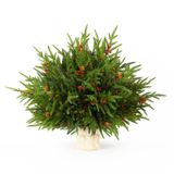Decorações De Natal Artificiais De Norfolk Pine Branches, 12 Unidades