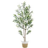 Plantas Térmicas Artificiais De Oliveira De 1,5 M De Altura Com Vaso E Cesta