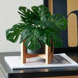 Plantas Decorativas Artificial Costela De Adão Realista Kit Com 5 Hastes Flexíveis