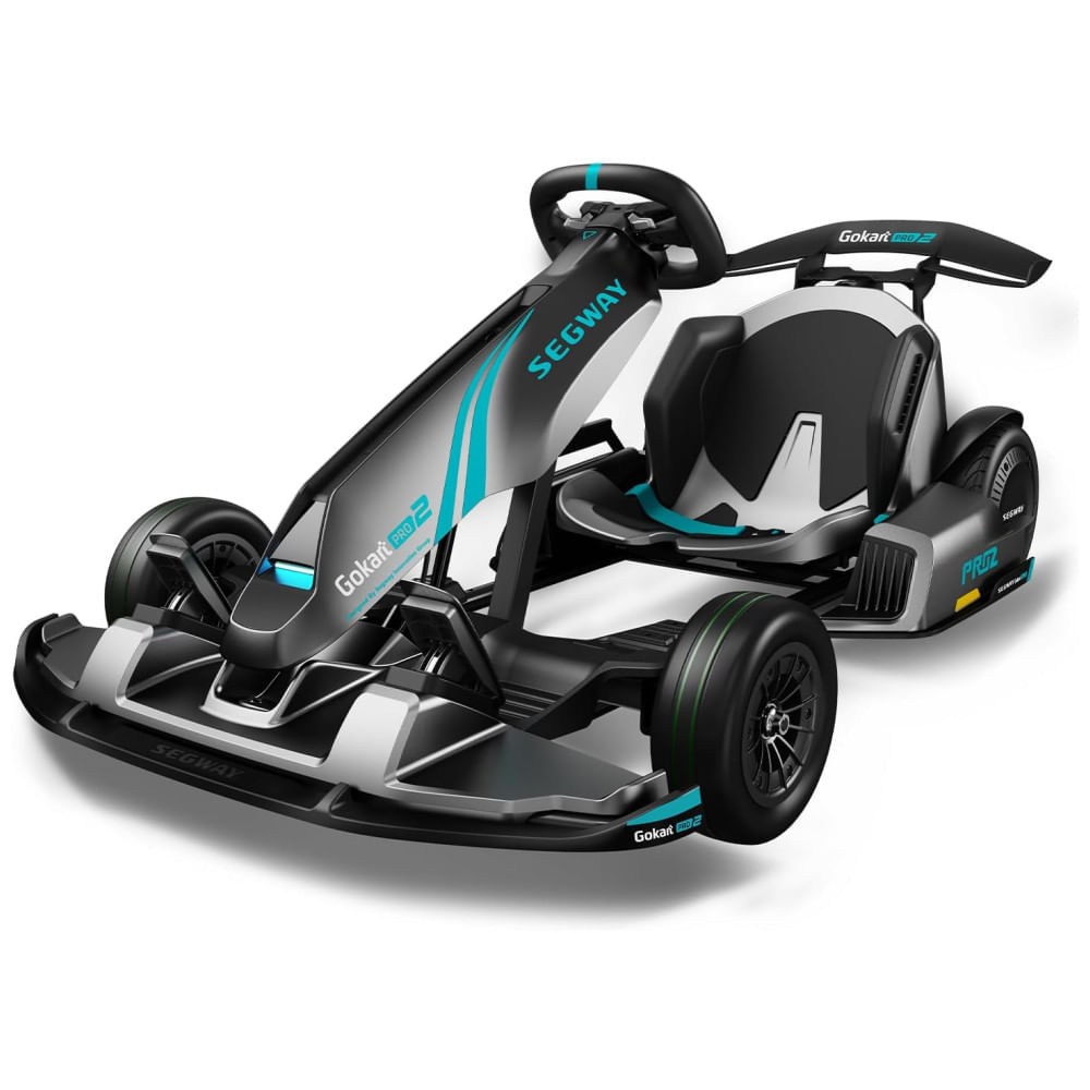 ELF GO KART ブラック Kart De Corrida Elétrico E Recarregável De Alta Velocidade 37 Km/h