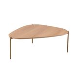 Mesa De Centro Complementos Orgânica Hanover E Dourada 77 Cm