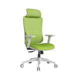 Cadeira Escritório Presidente Nr17 Ergonômica Tela Mesh Sigma Verde