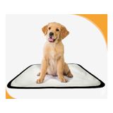 Tapete Para Cães Prático Ecológico 10 Un P1 50x70cm