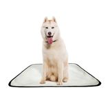 Tapete Pet Reutilizável Adestrador Dog Oferta 7 Un G 90x100