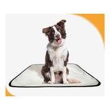 Banheiro Canino Lavável Pet Em Oferta 1un M - 60 X 80 Cm