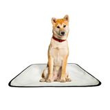 Tapete Pet Reutilizável Adestrador Dog Oferta 4 Un M1 70x100
